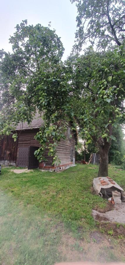 Mazurska Przystan Villa Dąbrówno Exterior foto